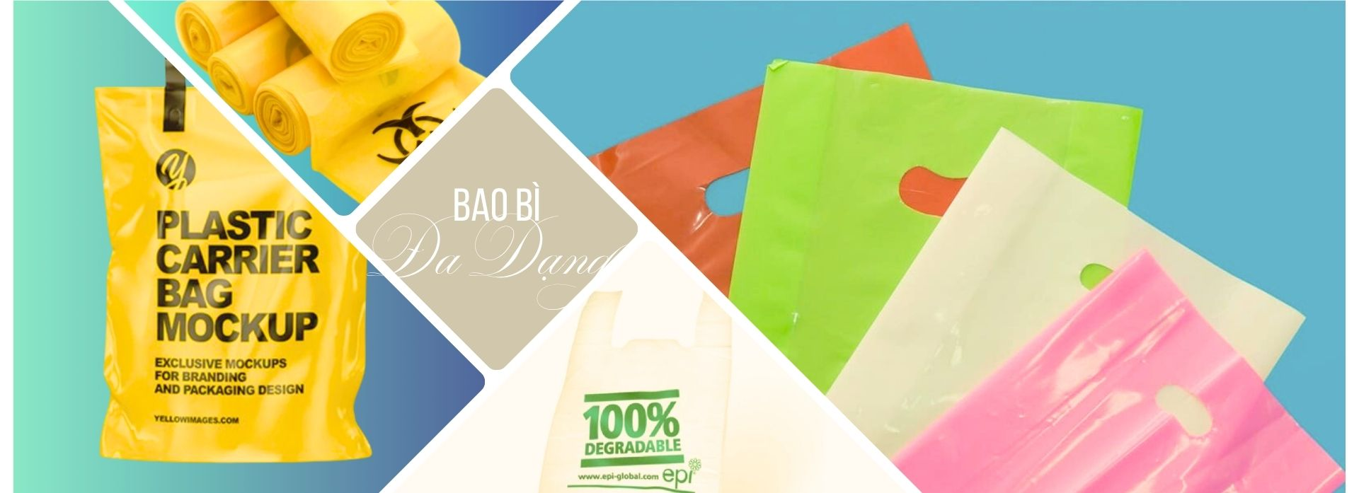 Bao Bì Quỳnh Phương