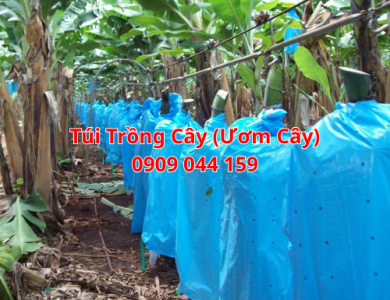 Túi Trồng Cây (Ươm Cây)