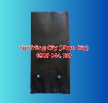 Túi Trồng Cây (Ươm Cây)